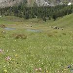 Nature Escape In Kander Valley 別荘