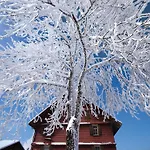 Nature Escape In Kander Valley * Kandergrund