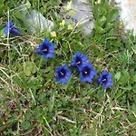 Nature Escape In Kander Valley *