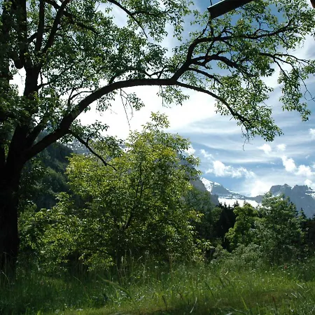 Scenic In With Altels View