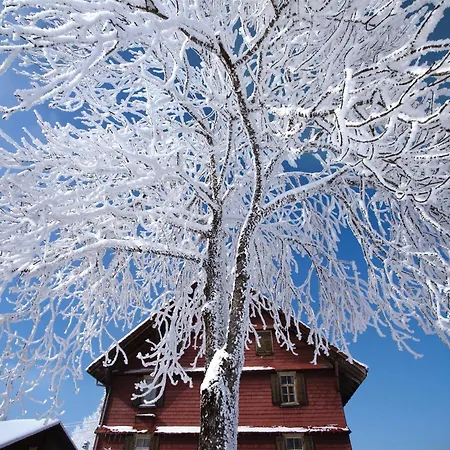 Nature Escape In Kander Valley * Kandergrund