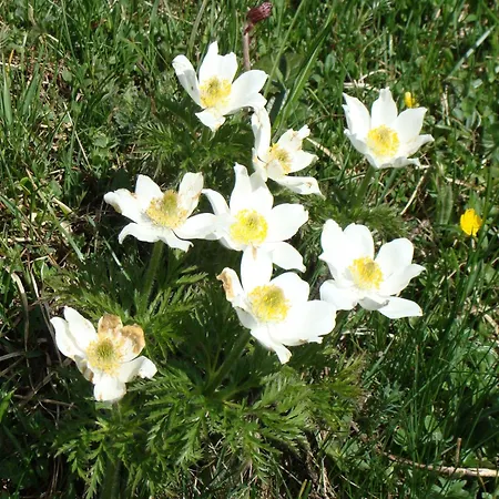 Nature Escape In Kander Valley *