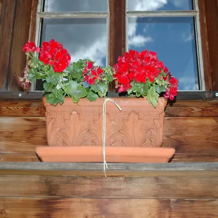 Nature Escape In Kander Valley * Kandergrund