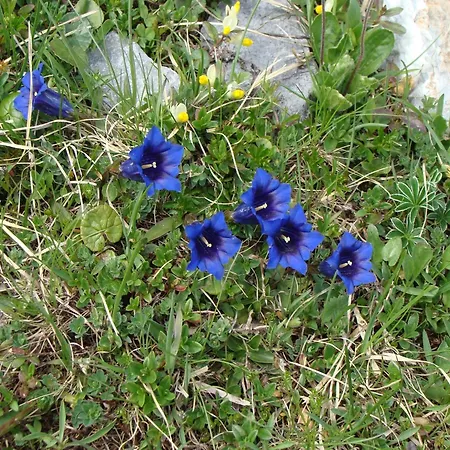 Nature Escape In Kander Valley *