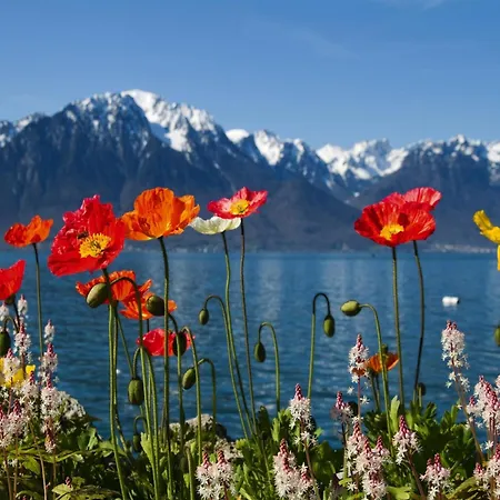 Nature Escape In Kander Valley كاندرغرند