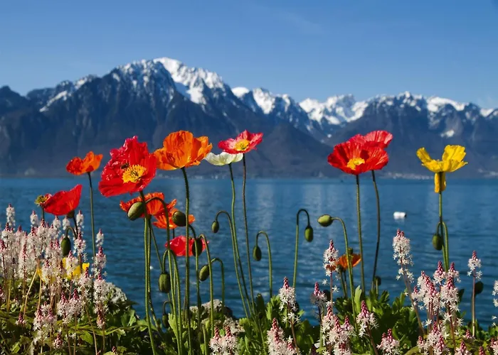 Nature Escape In Kander Valley Kandergrund