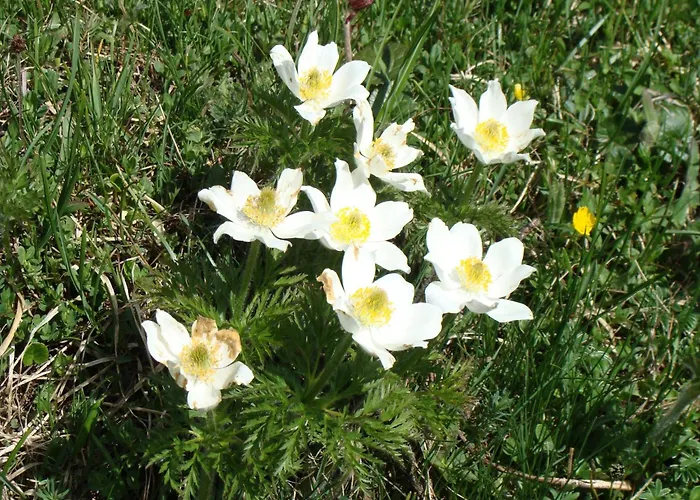 Nature Escape In Kander Valley *