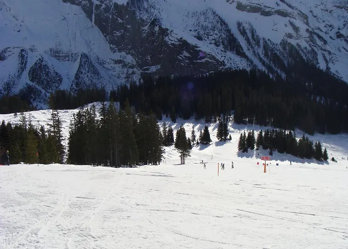 別荘 Nature Escape In Kander Valley