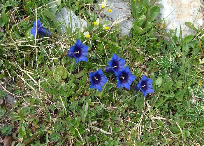 Nature Escape In Kander Valley *